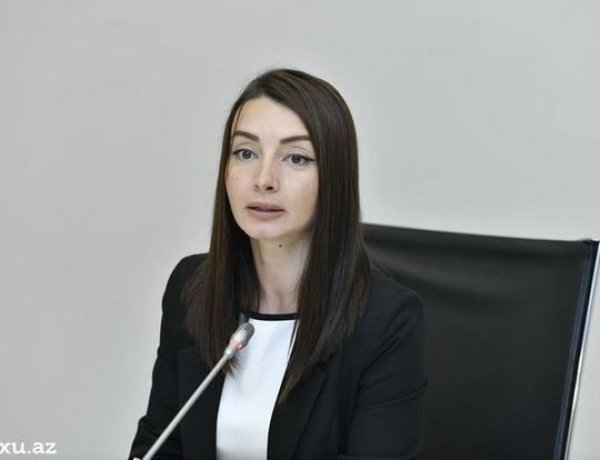 “Azərbaycan minatəmizləməyə böyük məbləğdə vəsait ayırır”