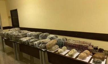 Sərhədçilər narkotik qaçaqmalçılığı ilə məşğul idilər