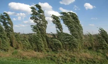 Hazırda küləkli hava müşahidə olunur