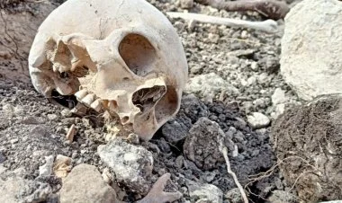 Füzulidə iki nəfərin meyitinin qalıqları tapılıb