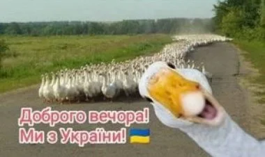 Ukraynada buraxılan "quşlar" ölkəni hara aparır?