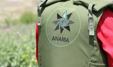 Prezident Minatəmizləmə Agentliyi ilə bağlı fərman imzaladı