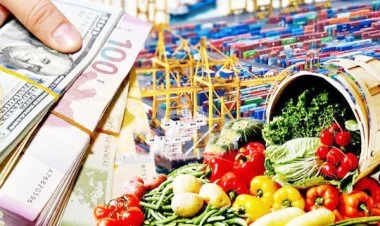 Azərbaycan 2022-ci ildə qeyri-neft ixracını 12,4% artırıb