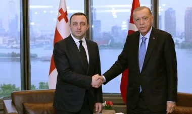 Ərdoğan Qaribaşvilini qəbul etdi