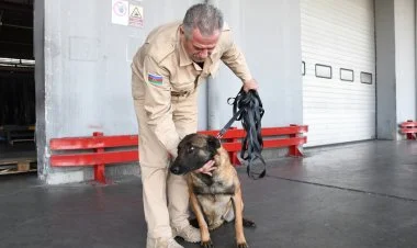 ABŞ Azərbaycana minaaxtaran itlər verdi