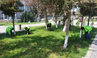 Paytaxtda Novruz iməciliyi keçirilir