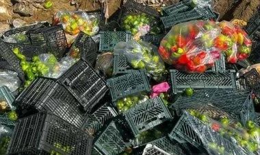 İrandan gətirilən portağal və bibərdə viruslar aşkarlanıb