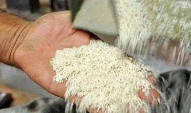 İranda bahalaşmaya görə əhali düyü ala bilmir