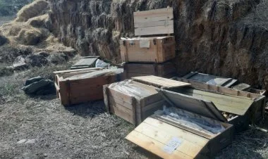 Qubadlıda döyüş sursatları aşkarlandı