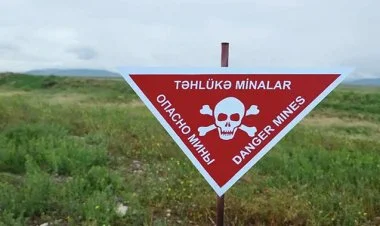 337 mina aşkarlandı