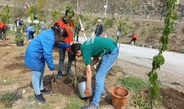 Ekofəallar Laçın-Xankəndi yolunda ağac əkiblər