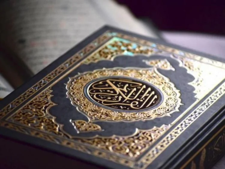 Danimarka Quranın yandırılmasını qadağa edə bilmir