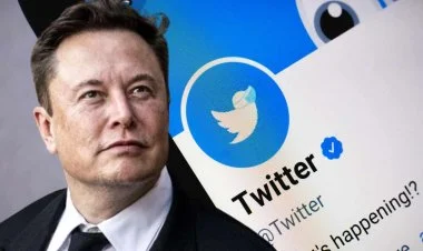 Mask “Twitter”də gündəlik limitləri artırdı