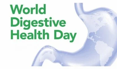 Bu gün Ümumdünya Sağlam Qidalanma Günüdür