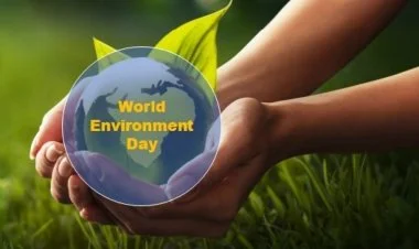 Bu gün Ümumdünya Ətraf Mühit Günüdür