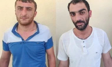Lerikdə külli miqdarda nakotik aşkarlandı