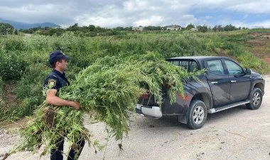 Xocavənddə narkotik tərkibli bitkilər məhv edildi