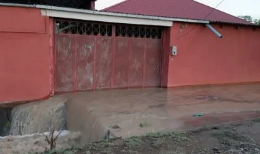 Tovuzda leysan yağış və sel fəsadlar törədib