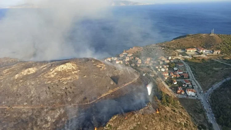 Türkiyədə baş verən yanğın 25 hektar əraziyə ziyan vurub