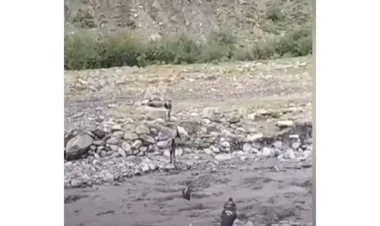 Qəbələdə seldən beş nəfər xilas olunub VİDEO