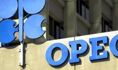 Azərbaycan OPEK-ə üzv olacaqmı?