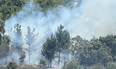 Osmaniyədə meşə yanğını