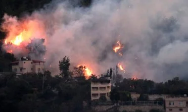 Türkiyədə meşə yanğınları davam edir VİDEO