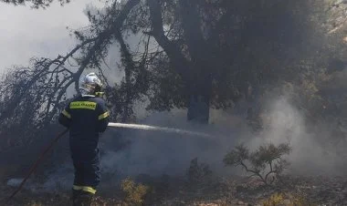 Yunanıstanda meşə yanğınlarında 46 meşə məhv olub