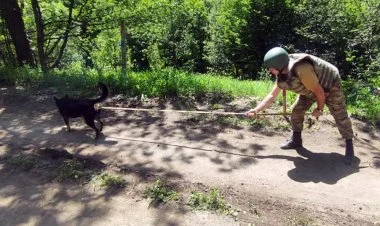 610 hektaradək ərazi minalardan tam təmizlənib FOTO