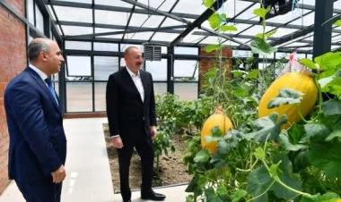 İlham Əliyev Cəlilabaddadır FOTO