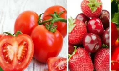 Rusiya Azərbaycan mallarına embarqo qoydu