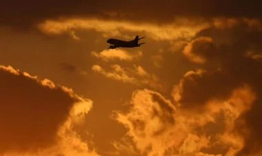 Yaponiyada 260-dan çox aviareys təxirə salınıb