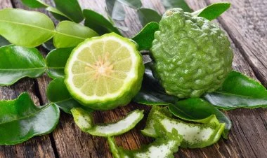 Çay kimi tanınan sitrus bitkisi: Berqamot