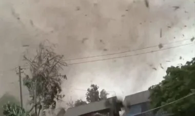 “Xanun” qasırğası yenidən Yaponiyaya doğru hərəkət edir