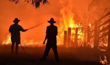 Avstraliyada yanğında 6 nəfər ölüb