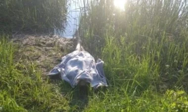 Kürün sahilində yeniyetmə meyiti tapılıb