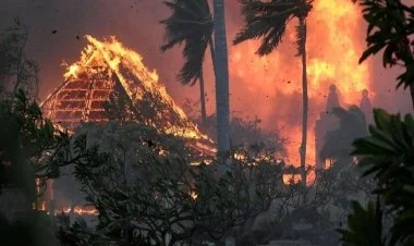 Havay adalarında yanğında ölənlərin sayı 53 nəfərə çatıb