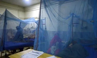 Banqladeşdə danq qızdırmasından ölənlərin sayı 398-ə çatıb