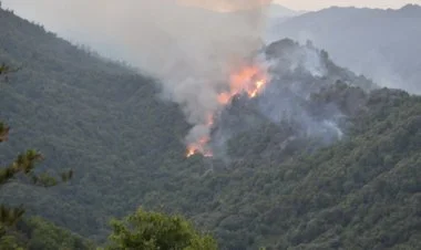 Şamaxı meşələrində yanğın başlayıb