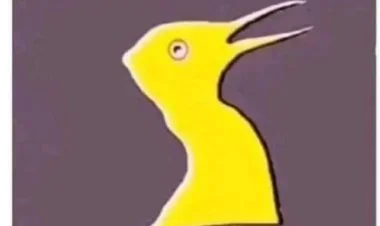 Endirilmiş dindən uydurulmuş dinə