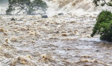 Əlcəzairin qərbində daşqınlar 8 nəfərin həyatına son qoyub