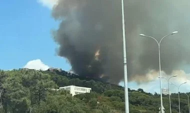 İstanbulda meşə yanğını başlayıb VİDEO