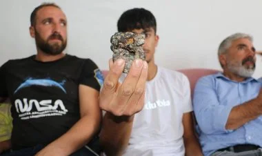 Diyarbəkirə düşən meteorit 4 milyon lirəyə satışa çıxarılıb