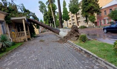 Balakəndə qasırğa nəticəsində 80-nə yaxın evin damı uçub