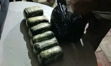 Lənkəran 32 nəfər saxlanılıb