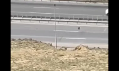 Təpəlikdən dairəvi yola təkər atan şəxslər saxlanılıb
