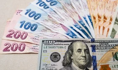 Türkiyə lirəsi dollar qarşısında tarixi minimumunu yeniləyib