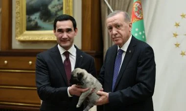 Ərdoğan Sərdar Berdiməhəmmədova it hədiyyə edib FOTO