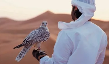 Qanunsuz ov edən ərəblər saxlanıldı