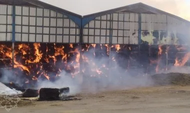 “Yalama Aqropark”da yanğın başlayıb FOTO